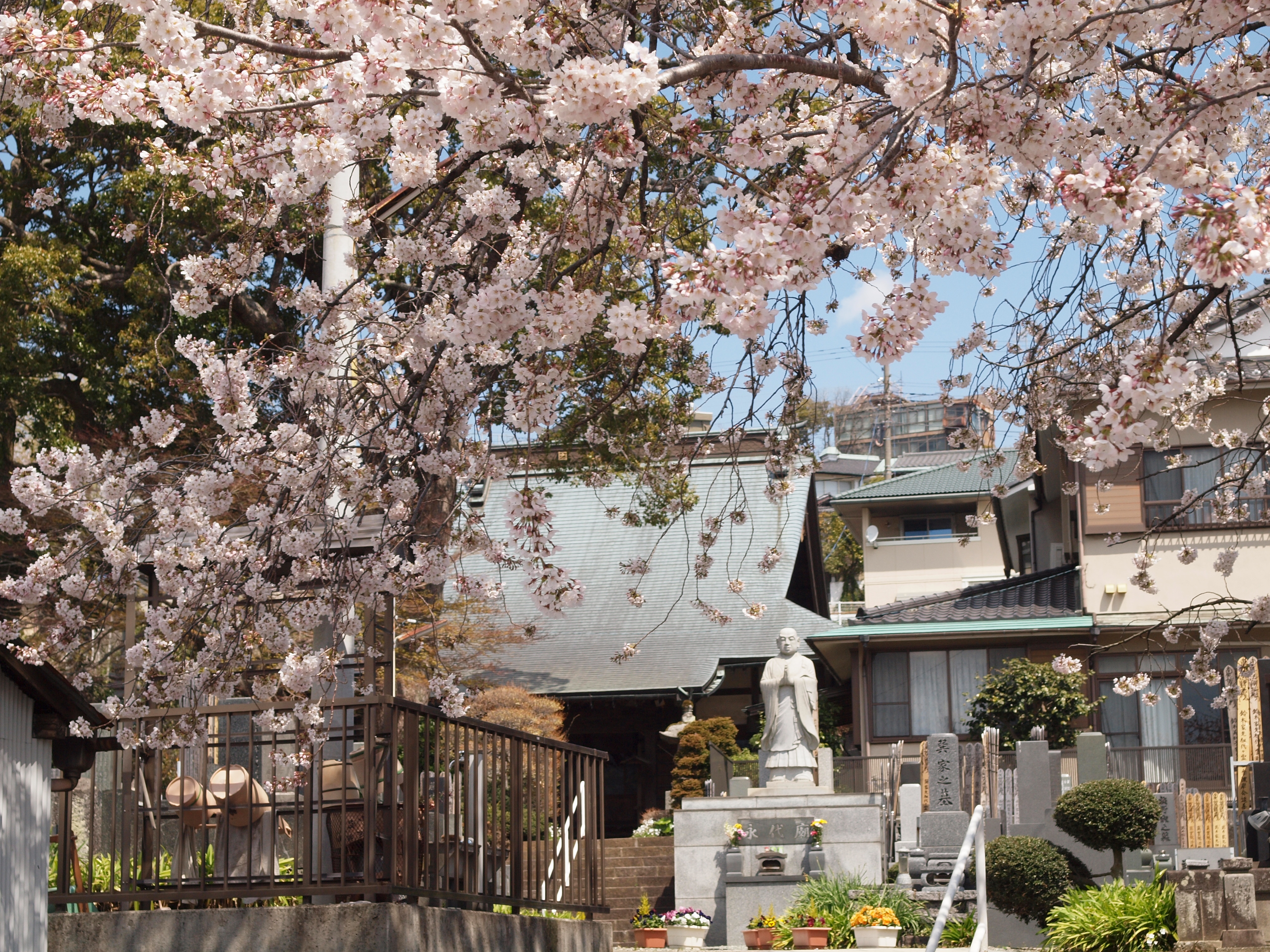 御塔生福寺の外観